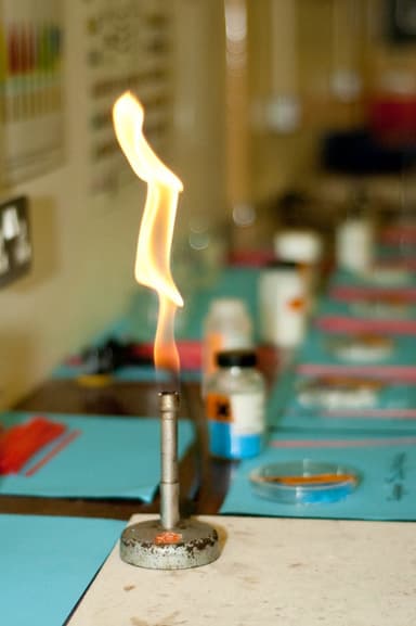 Bunsen Burner (LPG)