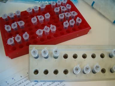 Glass Test Tubes 15 ml (Pack of 50)